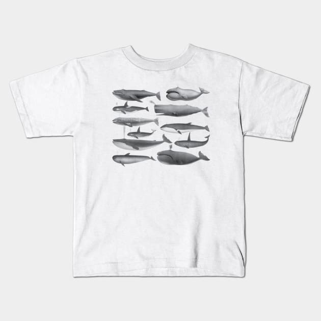 Whale - Whales Vintage Image Kids T-Shirt by KC Happy Shop